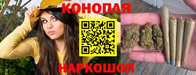 СК Пенза