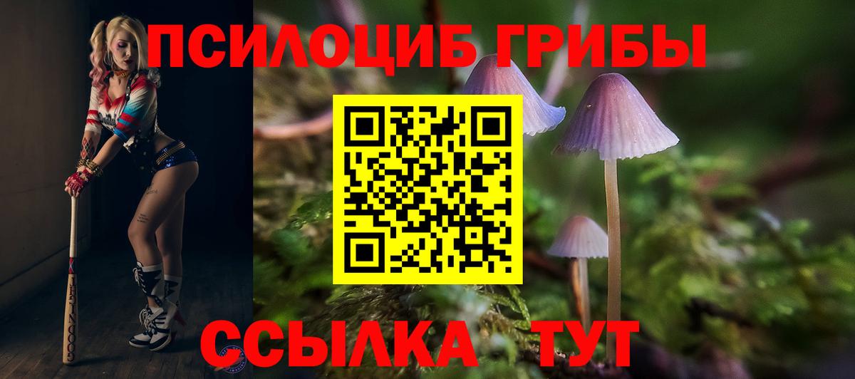 Псилоцибиновые грибы Psilocybine cubensis  Вход с VPN  Октябрьский 